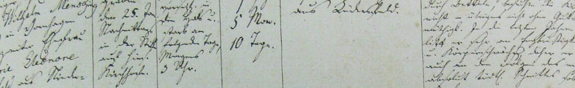 Kirchenbuch kopf_kirchenbuch.jpg